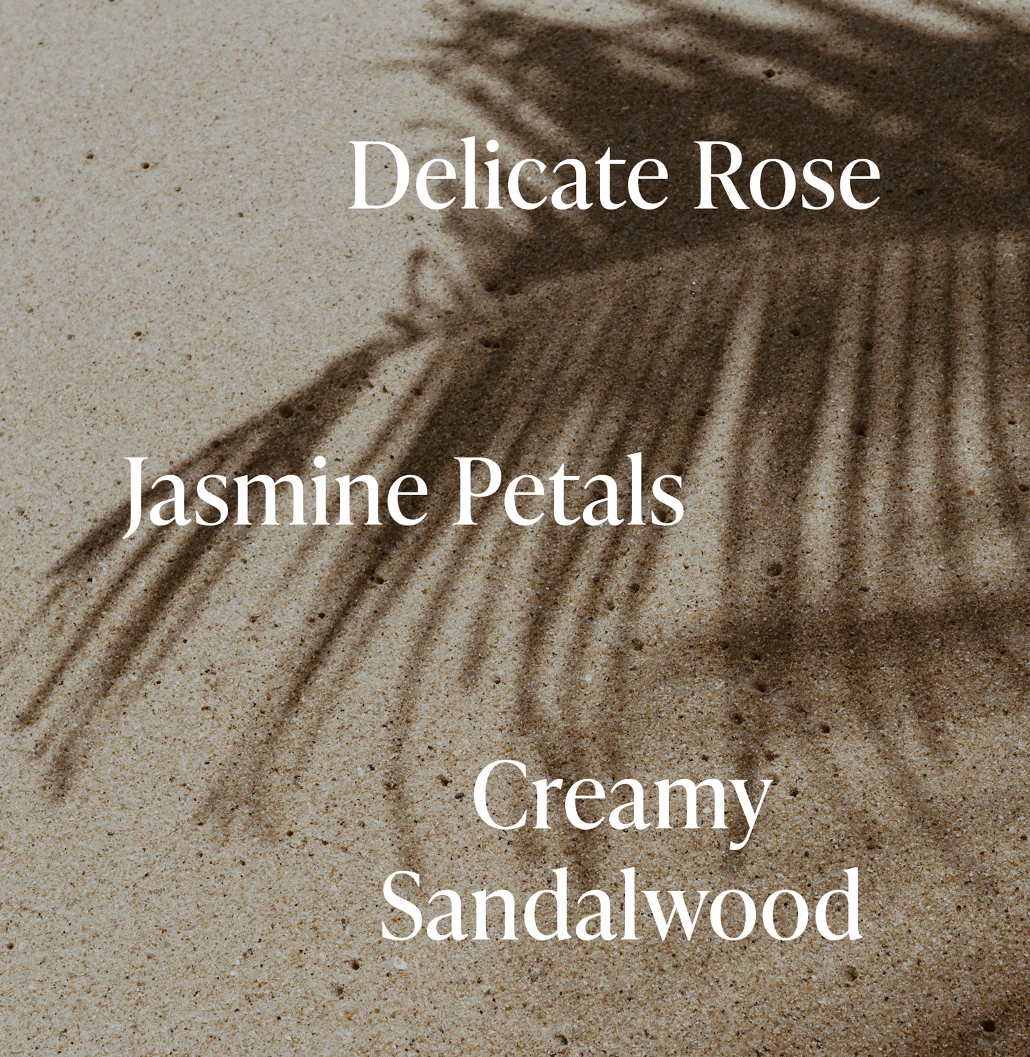 Moisture-Bound_Haircare_Notes_Santal-Bloom_3000x.jpg